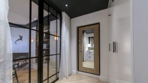  Entrance doors with a mirror