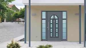  Entrance doors with glass for a country house