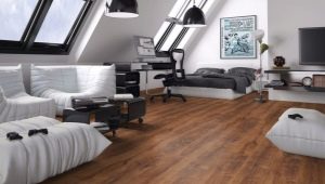  Swiss Krono laminate: features and benefits