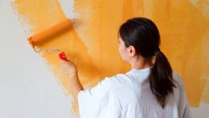  Papier peint ou murs peints: quel meilleur choix?