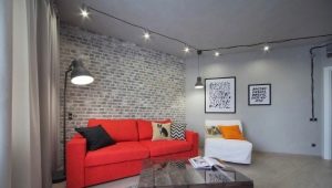 Apartament de tip studio în stil loft: mizerie creativă în interior