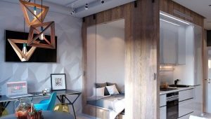  Kenmerken van de planning en het ontwerp van een klein appartement met één kamer
