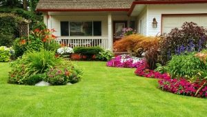 Design of flower beds: types and interesting ideas for giving
