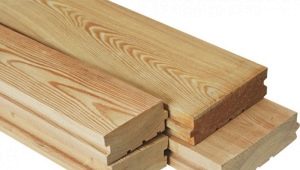 Larch floorboard: các tính năng và lợi ích