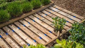  How to make garden paths from scrap materials yourself?