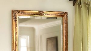  How to choose a mount for a mirror on the wall?