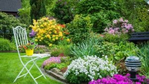  Květinové záhony: jak ozdobit místo vlastníma rukama