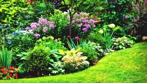  Beautiful beds of perennials in landscape design: how to create your own hands