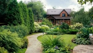  Diseño del paisaje de la casa de verano: bellas ideas de diseño.