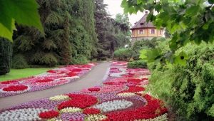  Aménagement paysager: choisir des fleurs pour la plantation