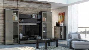  Möbler för vardagsrummet: reglerna för att välja produkter i olika stilar