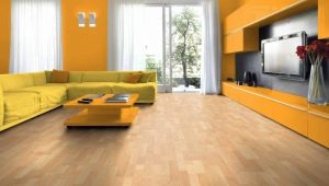  Floors in a private house: device options and rules of care