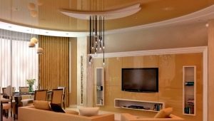  Plafonds en placoplâtre du salon: options modernes à l'intérieur
