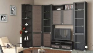  Corner furniture for the living room: features of choice