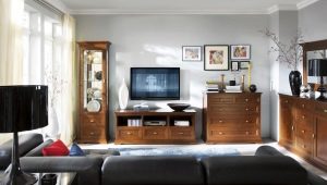  Choosing a chest of drawers in the living room: a combination of practicality and beauty