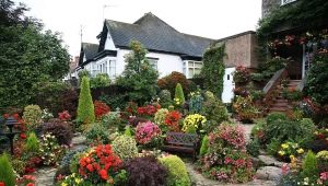 Hur vackert att arrangera trädgården och trädgården i landet?