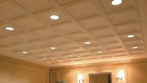  Ceiling tiles: features and varieties