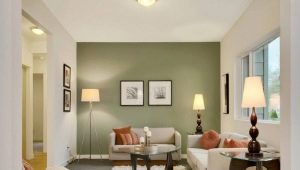  Die Feinheiten der Wahl der Farbe für Wände in der Wohnung