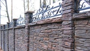  Stone fences: reliable protection for private homes