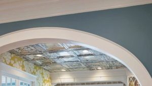  Arched drywall: views and ideas for structures