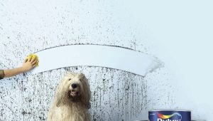  Dulux Paints: Pros and Cons