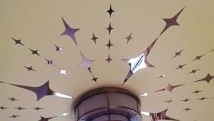  Stickers on the ceiling: types and their features