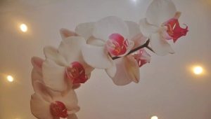  Stretch ceilings with orchid: a romantic interior in your home