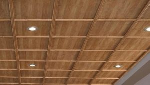  Ceiling panels: features of choice