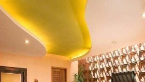  LED ceiling lights: what to choose and how to install?