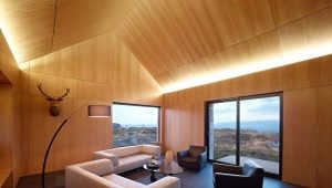  Plywood tak: fördelar och nackdelar med strukturer