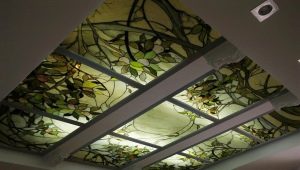  Plafonds de verre: types et subtilités de choix