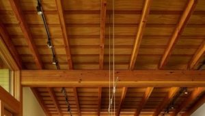 Subtilités du plafond de classement sur des poutres en bois