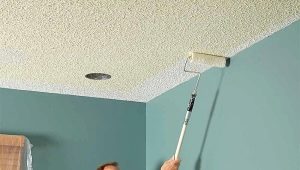  Jemné opravy stropu