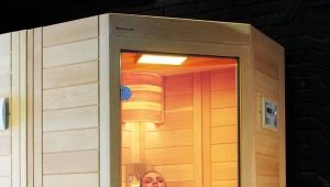  Bagaimana untuk menguruskan sauna di dalam rumah: rahsia pemasangan yang betul