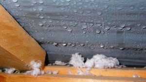  Condensate trong mùa đông trong phòng chờ: làm thế nào để thoát khỏi?
