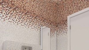  Mosaic in the toilet: examples of spectacular finishes