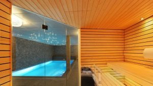  ห้องอาบน้ำโครงการที่มีสระว่ายน้ำ: ตัวอย่างของการออกแบบ