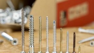  Plasterboard screws: types and step by step instructions for use