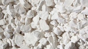  Quicklime: pros and cons