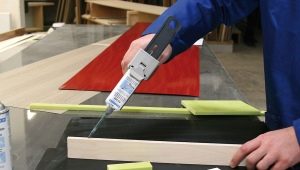  Polyurethane adhesive: characteristics of species and compositions