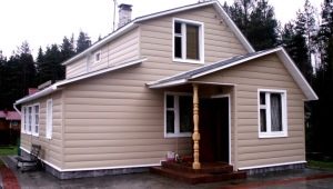  Tecos siding: features and benefits