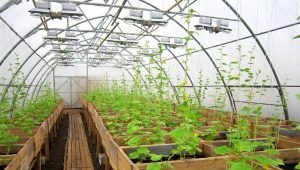  How to ensure year-round operation of the greenhouse: options for insulation