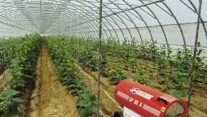  Greenhouse heating: options and features