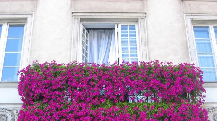  Цветя за балкона