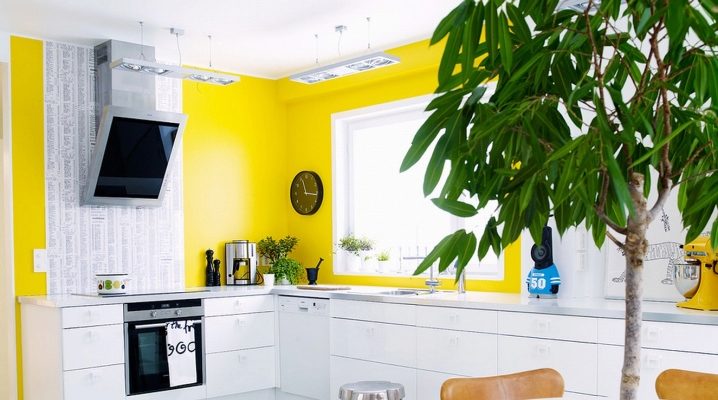  Mutfakta sarı duvarlar