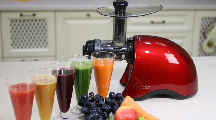 How to choose a juicer for vegetables and fruits