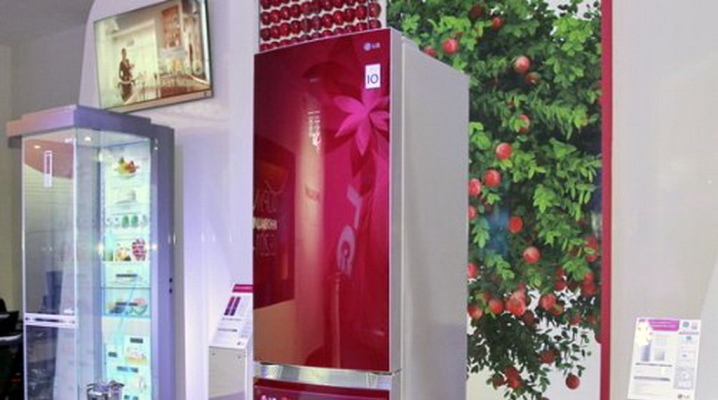  LG kylskåp med blommor