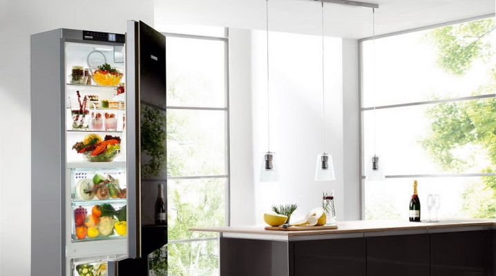  Rangschikking van de beste tweekamer koelkasten