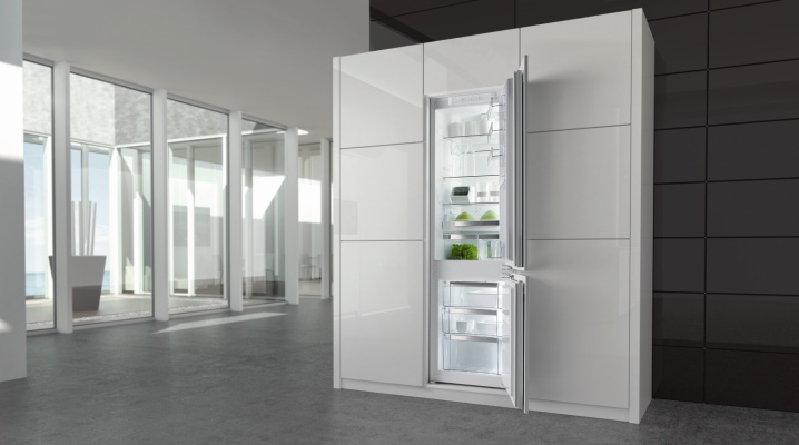  Built-in refrigerators Gorenje