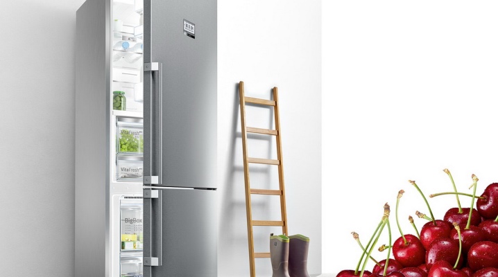  Handles for fridge Bosch